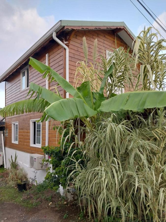 Le Cosy Bungalow de Lili / 5min de l'aéroport Les Abymes Exterior foto